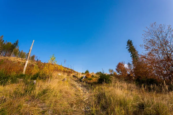 Autunno Paesaggio Foto Boschi Polacco Beskidy Montagne Sul Sentiero Wielka — Foto Stock