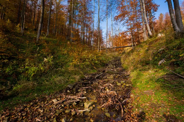 Autumn Landscape Photo Woods Polish Beskidy Mountains Path Wielka Racza — Stock Photo, Image