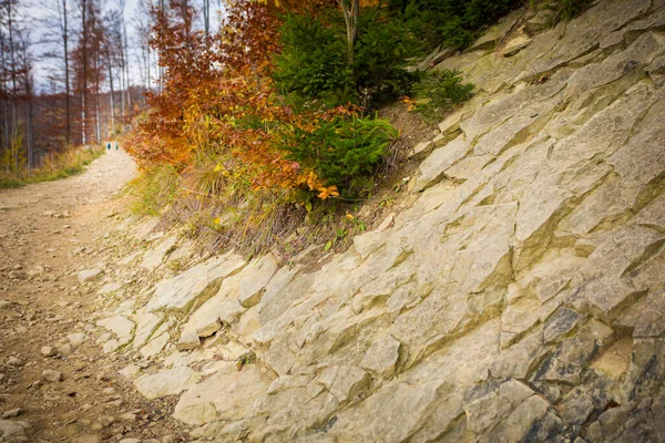 Autunno Paesaggio Foto Boschi Polacco Beskidy Montagne Sul Sentiero Wielka — Foto Stock