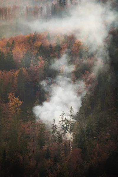 ポリッシュベスキディ山で煙と森の秋の霧の風景写真 Wielka Raczaへのパス上 — ストック写真