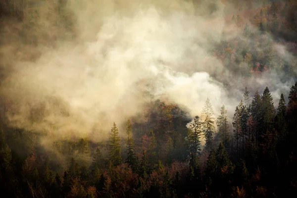 Otoño Niebla Paisaje Foto Bosques Con Humo Las Montañas Beskidy — Foto de Stock