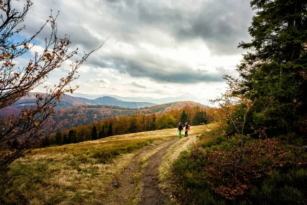 Adult tourists trekking in autumn woods, photo taken in polish Beskidy mountains, Wielka Racza