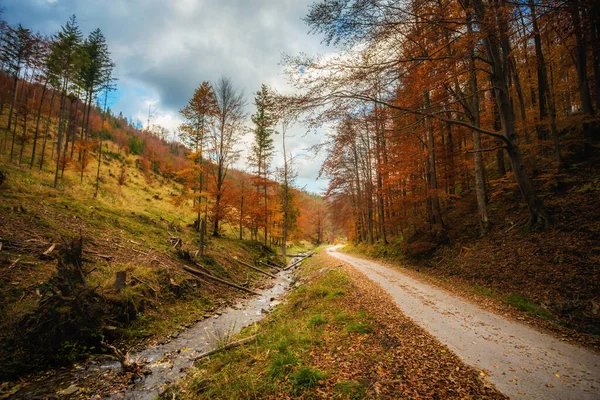 Polonya Daki Beskidy Dağlarındaki Wielka Racza Yolunda Sonbahar Manzarası Fotoğrafı — Stok fotoğraf