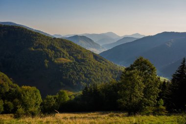Slovakya 'nın Velka Fatra dağlarında Borisov ve Ploska' ya giden güzel bir yol. Güneşli sonbahar manzarası.
