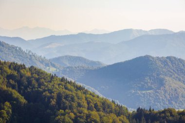 Slovakya 'nın Velka Fatra dağlarında Borisov ve Ploska' ya giden güzel bir yol. Güneşli sonbahar manzarası.