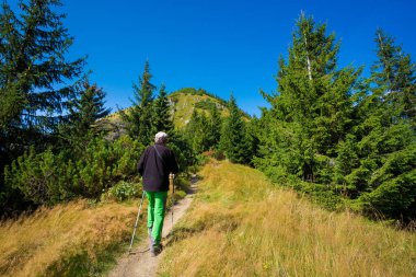 Yetişkin turistlerin sonbahar ormanlarında yürüyüşü Slovak Velka Fatra dağlarında çekilmiş fotoğraf Borisov ve Ploska 'dan geçen yol..