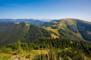 Slovakya 'nın Velka Fatra dağlarında Borisov ve Ploska' ya giden güzel bir yol. Güneşli sonbahar manzarası.