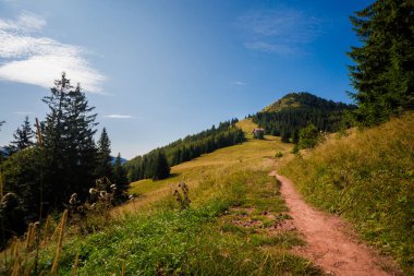 Slovakya 'nın Velka Fatra dağlarında Borisov ve Ploska' ya giden güzel bir yol. Güneşli sonbahar manzarası.