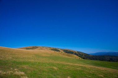 Slovakya 'nın Velka Fatra dağlarında Borisov ve Ploska' ya giden güzel bir yol. Güneşli sonbahar manzarası.
