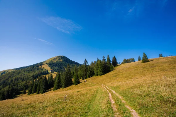 Hermoso Camino Borisov Ploska Las Montañas Eslovacas Velka Fatra Panorama —  Fotos de Stock