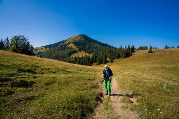 숲에서 산책하는 관광객 슬로바키아의 파트라 산에서 보리소프와 스카를 지나는 — 스톡 사진