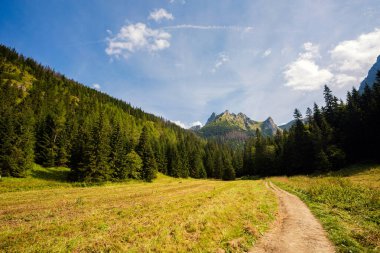 Giewont yolu üzerindeki Tatry dağlarında güzel bir manzara. Küçük çayır vadisi.