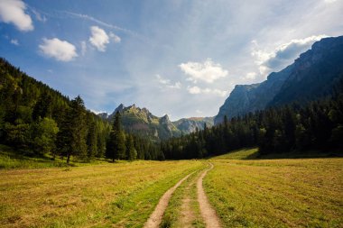 Giewont yolu üzerindeki Tatry dağlarında güzel bir manzara. Küçük çayır vadisi.