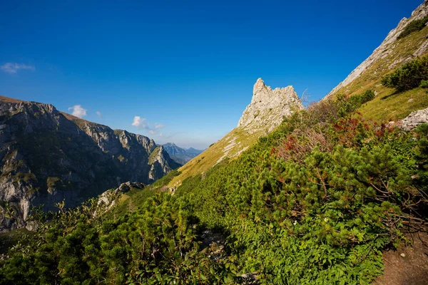 Giewont yolu üzerindeki Tatry dağlarında güzel bir manzara.