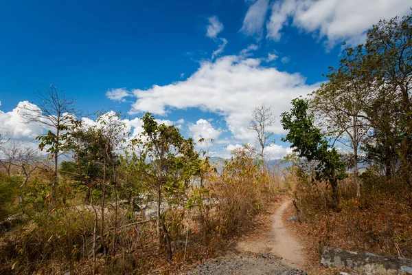 Hermoso Panorama Montaña Tomada Viaje Moto Cam Ranh Dalat Vietnam —  Fotos de Stock