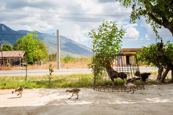 Gyönyörű Hegyi Panoráma Készült Motorkerékpár Kirándulás Cam Ranh Dalat Vietnam — Stock Fotó