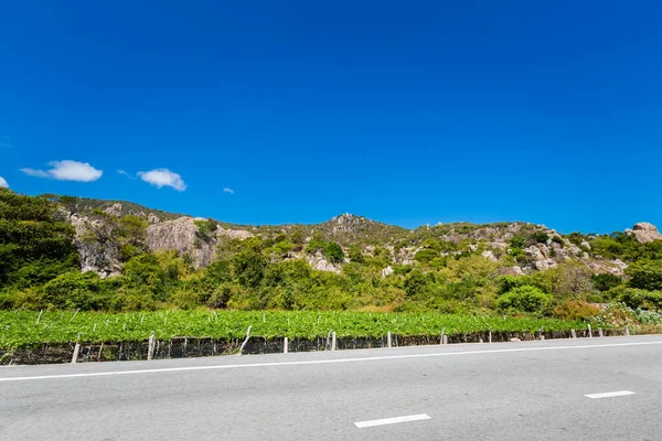 Vietnam Küste Motorradreise Von Phan Rang Nach Cam Ranh Landschaft — Stockfoto