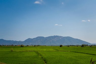 Nha Trang ve Tuy Hoa, Vietnam yakınlarındaki Co Ma Geçidi 'nde güzel vahşi cennet manzaraları. Mavi gökyüzü olan manzara fotoğrafı. Khanh Hoa bölgesi..