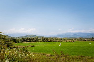 Nha Trang ve Tuy Hoa, Vietnam yakınlarındaki Co Ma Geçidi 'nde güzel vahşi cennet manzaraları. Mavi gökyüzü olan manzara fotoğrafı. Khanh Hoa bölgesi..