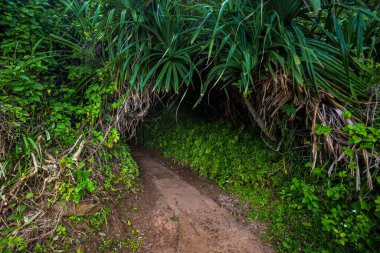 Vietnam 'daki Vinh Moc tünelleri, Quang Tri, Donh Ha.
