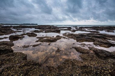 Hoa Ly 'daki Cua Tung plajı, Vinh Linh bölgesi, Quang Tri vilayeti Vietnam