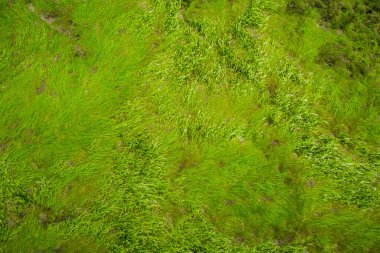 Hoa Ly 'daki Cua Tung plajı, Vinh Linh bölgesi, Quang Tri vilayeti Vietnam