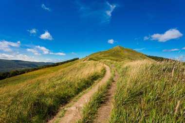 Yazın Bieszczady dağlarında çekilmiş güzel manzara fotoğrafı. Carynska Meadow üzerinden Ustrzyki 'den Brzegi, Bieszczadzki Park Narodowy' a giden patika.