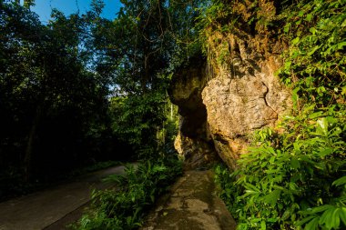 Vietnam 'daki turistik Phong Nha yakınlarındaki Cennet Mağarası' na giden güzel yeşil bir yol. Fotoğraf Güney Doğu Asya 'da çekildi..
