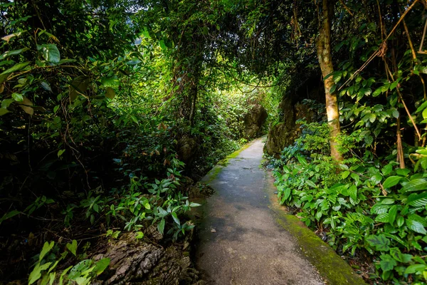 Hermoso Camino Verde Paradise Cave Cerca Turística Phong Nha Vietnam —  Fotos de Stock