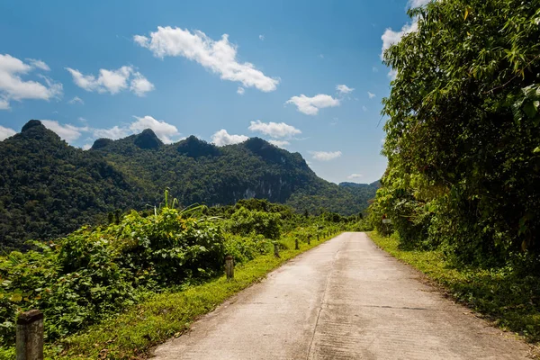 在去越南丰奈克邦国家公园的Arem Tribe少数族裔村的路上 美丽的绿树成荫的风景 在东南亚拍摄的乡村风景照片 — 图库照片