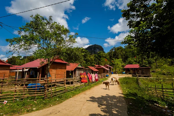 越南Phong Nha Bang国家公园Arem Tribe少数民族村美丽的阳光普照的农场动物景观 在东南亚拍摄的乡村风景照片 — 图库照片