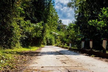 Ulusal Park Phong Nha Ke Bang, Vietnam 'daki Arem Kabilesi Azınlık Köyü' ne giden güzel yeşil manzaralı bir yer. Güneydoğu Asya 'da çekilmiş kırsal manzara fotoğrafı..
