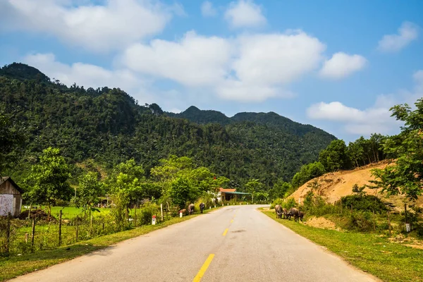 Hermoso Paisaje Verde Vivo Viaje Desde Parque Nacional Phong Nha —  Fotos de Stock