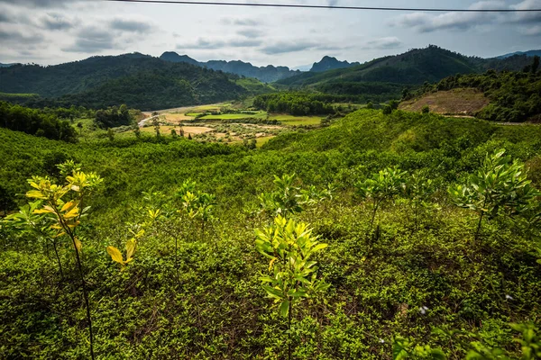 美丽的绿树成荫的风景 从国家公园奉奈克邦到越南夸罗 在东南亚拍摄的乡村风景照片 — 图库照片