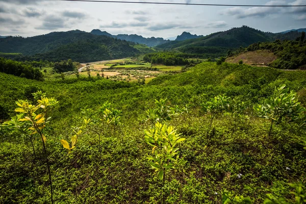 Gyönyörű Zöld Élénk Táj Utazás Nemzeti Park Phong Nha Bang — Stock Fotó