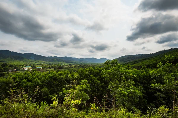 美丽的绿树成荫的风景 从国家公园奉奈克邦到越南夸罗 在东南亚拍摄的乡村风景照片 — 图库照片