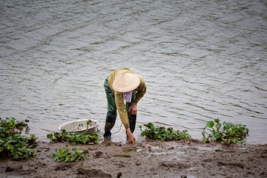 Vietnam 'da Ninh Binh, Ulusal Park Tam Coc' ta Vietnamlı şapkalı güzel bir fotoğraf. Güneydoğu Asya 'da çekilmiş kırsal manzara fotoğrafı..