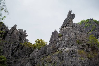 Van Long Doğa Koruma Alanı 'nda Langur, Tam Coc, Vietnam' da Ninh Binh ile güzel bir manzara. Güneydoğu Asya 'da çekilen teknenin kırsal manzara fotoğrafı..