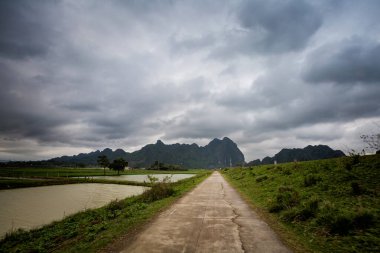 Van Long Doğa Koruma Alanındaki güzel manzara, Tam Coc, Vietnam 'daki Ninh Binh. Güneydoğu Asya 'da çekilen teknenin kırsal manzara fotoğrafı..