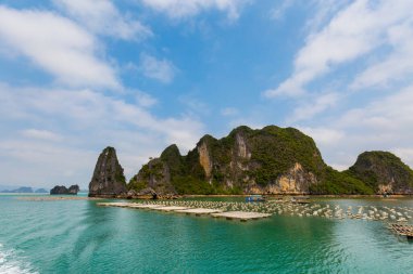 Bai Tu Long Bay 'in güzel manzarası, Quan Lan Adası, Vietnam' a gemi gezisi sırasında çekildi. Güneydoğu Asya 'da çekilen İnci Çiftliği Sahili manzaralı fotoğraf, Ha Long