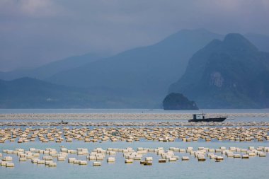 Bai Tu Long Bay 'in güzel manzarası, Quan Lan Adası, Vietnam' a gemi gezisi sırasında çekildi. Güneydoğu Asya 'da çekilen İnci Çiftliği Sahili manzaralı fotoğraf, Ha Long