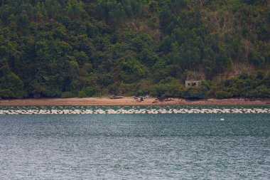 Bai Tu Long Bay 'in güzel manzarası, Quan Lan Adası, Vietnam' a gemi gezisi sırasında çekildi. Güneydoğu Asya 'da çekilen İnci Çiftliği Sahili manzaralı fotoğraf, Ha Long