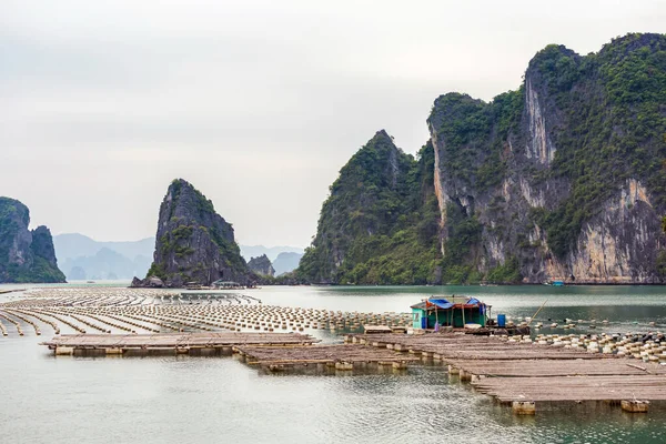 Hermoso Paisaje Bai Long Bay Tomado Durante Crucero Isla Quan —  Fotos de Stock