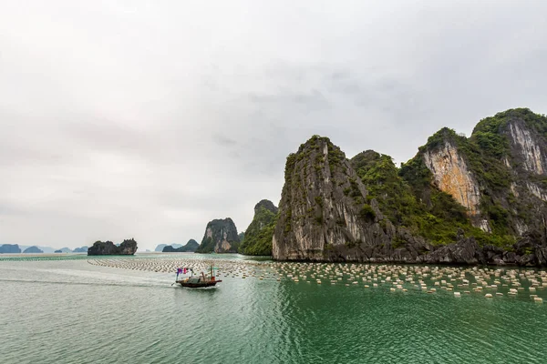 Krásná Krajina Bai Long Bay Přijata Během Plavby Ostrov Quan — Stock fotografie