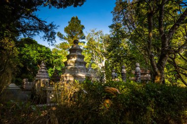 Tu Hieu Pagoda 'nın Hue, Vietnam' daki güzel renkli fotoğrafı. Turist olmayan popüler bir dini mekan..
