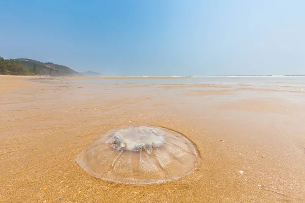 Beautiful Landscape Quan Lan Beach Bai Bien Island Bai Long — ストック写真