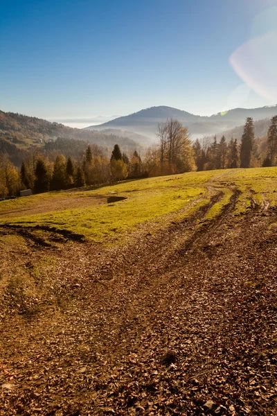 Vackra berg skog Höstlandskap — Stockfoto