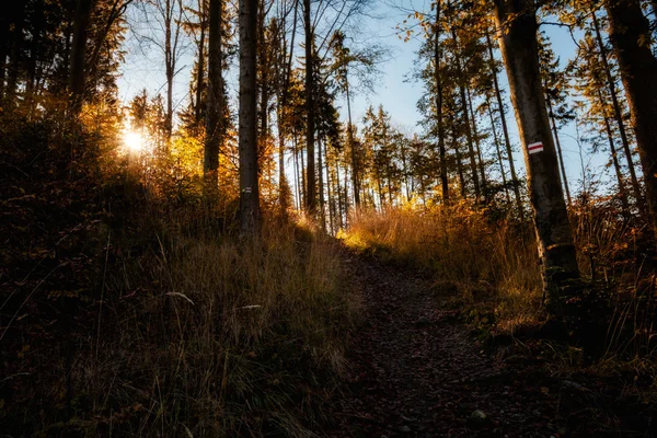 Beau paysage montagneux d'automne — Photo