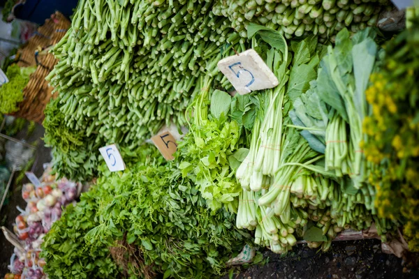 Ervas aromáticas frescas no mercado — Fotografia de Stock