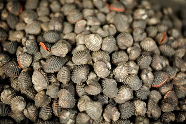 Fresh mussels on market — Stock Photo, Image
